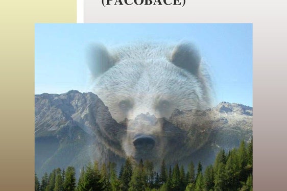 La Giunta ha deciso oggi di estendere la competenza del Gruppo operativo per gli orsi a tutti i grandi predatori (Foto: ASP/Ufficio Gestione fauna selvatica)