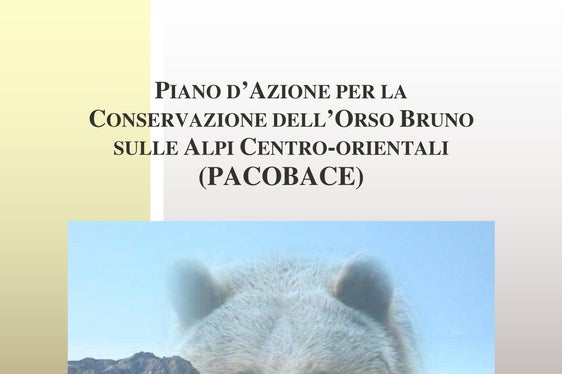 La Giunta ha deciso oggi di estendere la competenza del Gruppo operativo per gli orsi a tutti i grandi predatori (Foto: ASP/Ufficio Gestione fauna selvatica)