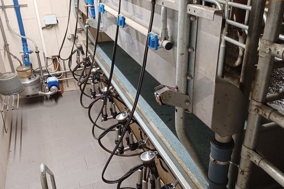 Aumentano i contributi per la meccanizzazione interna delle aziende agricole. Essi comprendono sovvenzioni per i sistemi di mungitura (nella foto), la ventilazione del fieno e i sistemi di rimozione del letame. (Foto: USP/Ufficio Meccanizzazione agricola e produzione biologica/Martin Stuppner)