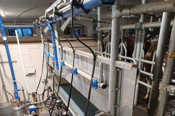 Die Beiträge für die Innenmechanisierung der landwirtschaftlichen Betriebe werden auf Betreiben von Landwirtschaftslandesrat Luis Walcher erhöht, dazu zählen Beihilfen für Melkanlagen (im Bild), Heubelüftungen und Entmistungsanlagen. (Foto: LPA/Landesamt für Landmaschinen und biologische Produktion/Martin Stuppner)