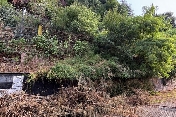 Zur Reduzierung des Risikos von Steinschlag hat die Liegenschaftsverwaltung der Agentur Landesdomäne in diesen Tagen mit den Arbeiten zur Verringerung des Seinschlagrisikos oberhalb des Rehazentrums in der Fagenstraße in Bozen begonnen. (Foto: LPA/Liegenschaftsverwaltung der Agentur Landesdomäne)