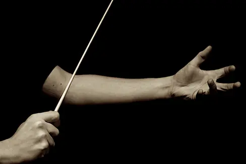 Für drei Orchesterprojekte sucht die Landesmusikschuldirektion eine künstlerische Leitung. Für zwei davon - das Holzblasorchester HoBla-O und die Jugend Brass Band Südtirol - wurde heute (2. Februar) das Auswahlverfahren eröffnet. (Foto: TimToppik/photocase.de)