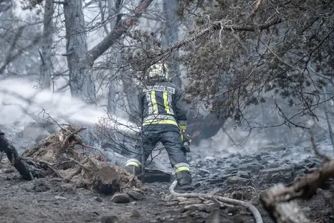 Un intervento complesso. “Il fumo si è ora diradato“, riferisce Andreas Platter della Stazione forestale di Silandro. Il terreno devastato dalle fiamme si estende per circa 100 ettari tra i 990 e i 1950 metri di altitudine; sono andati bruciati boschi di querce e pini collinari fino a boschi di abeti rossi di alta montagna e boschi di abeti rossi e larici subalpini”. (Foto: Unione provinciale dei Corpi dei vigili del fuoco volontari)