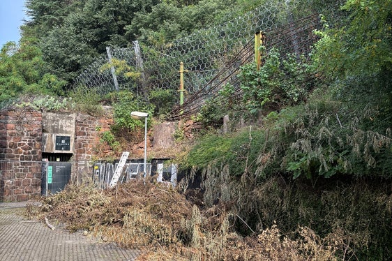 Zur Reduzierung des Risikos von Steinschlag hat die Liegenschaftsverwaltung der Agentur Landesdomäne in diesen Tagen mit den Arbeiten zur Verringerung des Seinschlagrisikos oberhalb des Rehazentrums in der Fagenstraße in Bozen begonnen. (Foto: LPA/Liegenschaftsverwaltung der Agentur Landesdomäne)