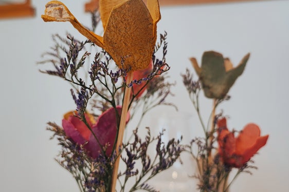 Tag der Hauswirtschaft an der Fachschule für Hauswirtschaft und Ernährung Tisens (Foto: LPA/Fachschule für Hauswirtschaft und Ernährung Tisens)