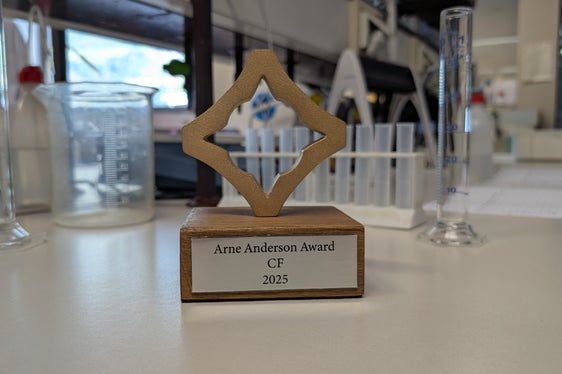 Mit dem Arne-Anderson-Preis wird die beste analytische Leistung beim Nachweis von Pestizidrückständen in Lebensmitteln in vier verschiedenen Kategorien ausgezeichnet. (Foto: LPA/Vera Brunetti)