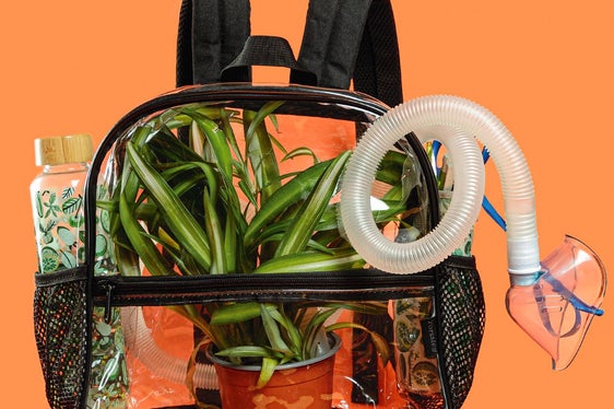 Schülerin Hannah Eppacher erklärte den Rucksack mit dem geschlossenen Ökosystem. (Foto: Ingrid Heiss)