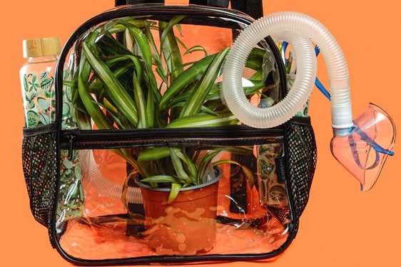 Schülerin Hannah Eppacher erklärte den Rucksack mit dem geschlossenen Ökosystem. (Foto: Ingrid Heiss)