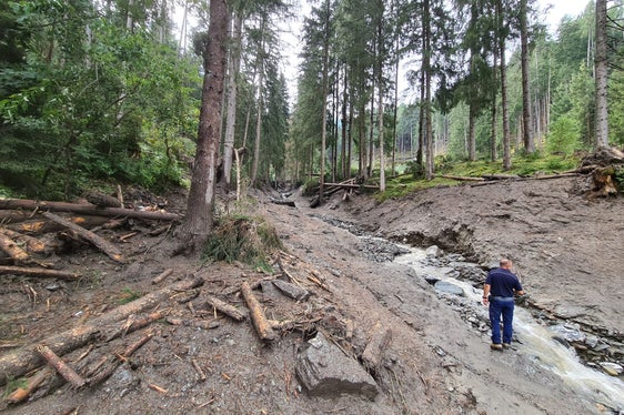Der Adererbach weist starke Erosionsschäden auf. (Foto: LPA/Landesamt für Wildbach- und Lawinenverbauung Ost)
