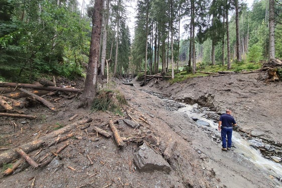 Il rio Aderer evidenzia gravi danni da erosione. (Foto: ASP/Ufficio sistemazione bacoini montani Est dell'Agenzia per la Protezione civile)