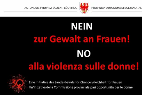 Das Plakat des Landesbeirates für ein Nein zur Gewalt an Frauen