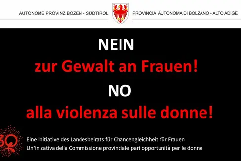 Das Plakat des Landesbeirates für ein Nein zur Gewalt an Frauen