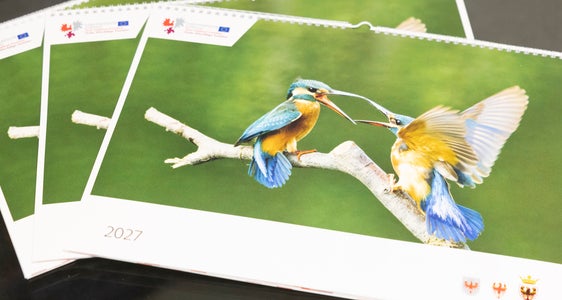 Der Euregio-Kalender 2027 im Wandkalender-Format (Foto: Land Tirol/Sedlak)