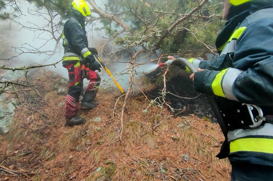 Waldbrand Sonnenberg Latsch: Immer wieder müssen Glutnester gelöscht werden. (Foto: LPA/Landesfeuerwehrverband)