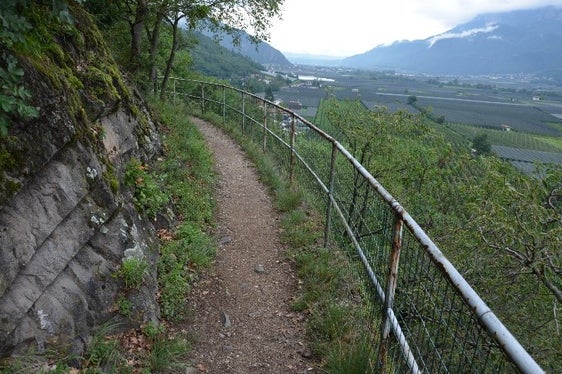 Auch der Bau von Waldwegen ist Teil der Arbeiten in Eigenregie. Die Landesregierung hat die Vertragsbedingungen und das Preisverzeichnis für 2022 genehmigt. (Foto: LPA/Amt für Bergwirtschaft)