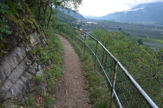 La Giunta ha approvato il capitolato d’oneri ed il prezziario 2022 per il noleggio di mezzi d’opera per l’esecuzione dei lavori in amministrazione diretta della Ripartizione foreste (Foto: ASP/Ufficio economia montana)