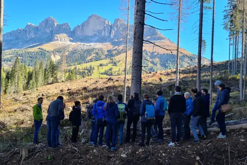 I partecipanti al raduno di Planalp si sono recati a passo Carezza per osservare da vicino i danni provocati dalla tempesta Vaia. (Foto: ASP)
