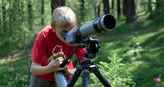 In vielen Naturparks stehen Wildtierbeobachtungen auf dem Programm, wo mit Stativ ausgestattete Ranger interessierten Passanten verschiedene Tiere zeigen. (Foto: LPA/Landesamt für Natur/Josef Hackhofer)