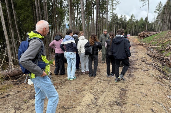 Alberi per il futuro: l'iniziativa di messa a dimora è stata preparata con cura e realizzata con il sostegno della Stazione forestale di Brunico. (USP/Stazione forestale di Brunico)