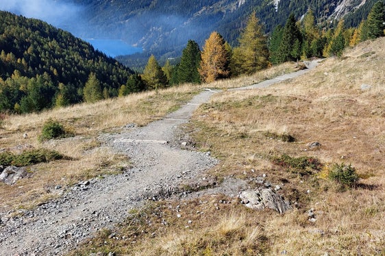 Im Zuge der Instandhaltungsarbeiten wurde im Sommer 2022 auch der Wanderweg Nr. 11 vom Antholzer See zum Staller Sattel saniert. (Foto: Forstinspektorat Welsberg)
