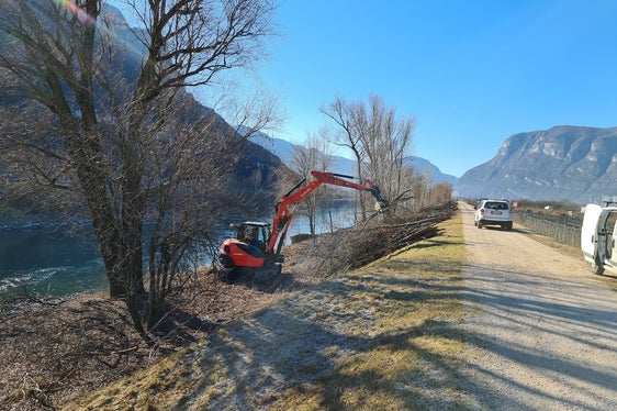 Diverse squadre dell'Ufficio Sistemazione bacini montani sud stanno diradando i boschi ripariali lungo i fiumi Adige e Isarco per mantenere la vegetazione giovane e resistente.(Foto: USP/Ufficio Sistemazione bacini montani sud)