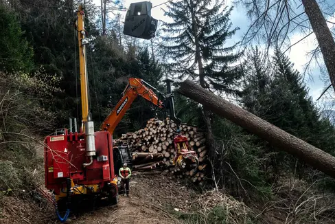 Lavorare nei boschi è pericoloso e rappresenta una sfida logistica. Si sta cercando una soluzione uniforme per la rimozione e la distribuzione del legname schiantato (Foto: ASP/Ivo Corrá)