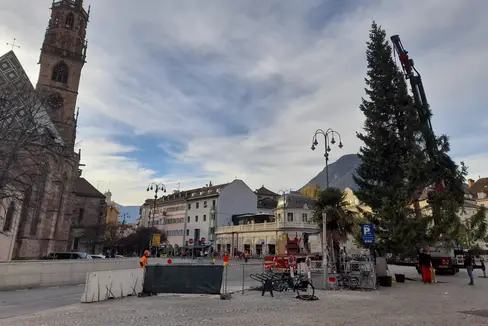 Anche quest'anno un albero di Natale donato dall'Agenzia del Demanio della Provincia autonoma di Bolzano illuminerà il salotto buono di Bolzano, ovvero piazza Walther. (Foto: USP/Maja Clara)