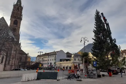 Anche quest'anno un albero di Natale donato dall'Agenzia del Demanio della Provincia autonoma di Bolzano illuminerà il salotto buono di Bolzano, ovvero piazza Walther. (Foto: USP/Maja Clara)