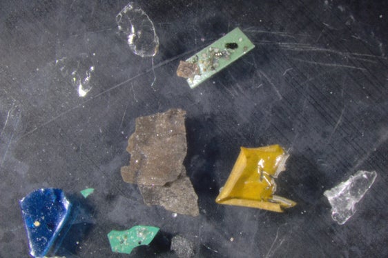 Microplastiche di dimensioni inferiori a 1 millimetro osservate al microscopio. (Foto: Agenzia provinciale per l'ambiente e la tutela del clima)