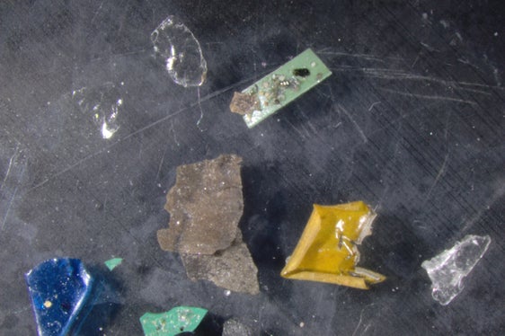 Weniger als 1 Millimeter große Mikroplastik-Partikel unter dem Mikroskop. (Foto: LPA/Landesagentur für Umwelt und Klimaschutz)