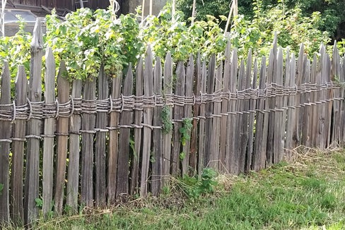 Die für Natur und Landschaft zuständige Landesabteilung fördert die Erhaltung und Errichtung traditioneller Holzzäune, darunter auch den geflochtenen Speltenzaun (im Bild). 2024 hat sie insgesamt rund 1,8 Millionen Euro für die Aufwertung und Pflege der Landschaft ausbezahlt. (Foto: LPA/Horand Maier)