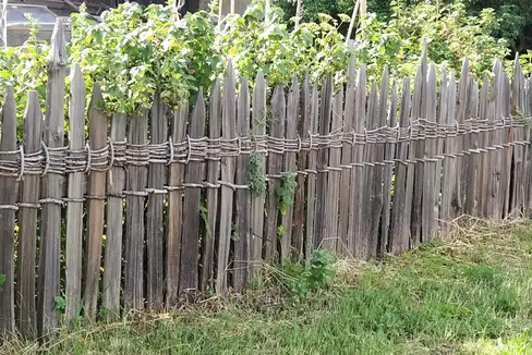 Die für Natur und Landschaft zuständige Landesabteilung fördert die Erhaltung und Errichtung traditioneller Holzzäune, darunter auch den geflochtenen Speltenzaun (im Bild). 2024 hat sie insgesamt rund 1,8 Millionen Euro für die Aufwertung und Pflege der Landschaft ausbezahlt. (Foto: LPA/Horand Maier)