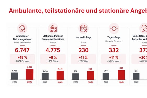 Übersicht der Angebote für pflegebedürftige Seniorinnen und Senioren. (Quelle: Ressort Sozialer Zusammenhalt, Familie, Senioren, Genossenschaften und Ehrenamt)