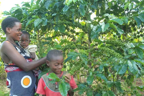 Unterstützung vom Land gab es auch für das Projekt von Kolping Südtirol, in dessen Rahmen die Kaffeeanbaubedingungen verbessert und so den Kleinbauern und Kleinbäuerinnen geholfen wird. (Foto: LPA/Amt für Außenbeziehungen und Ehrenamt)