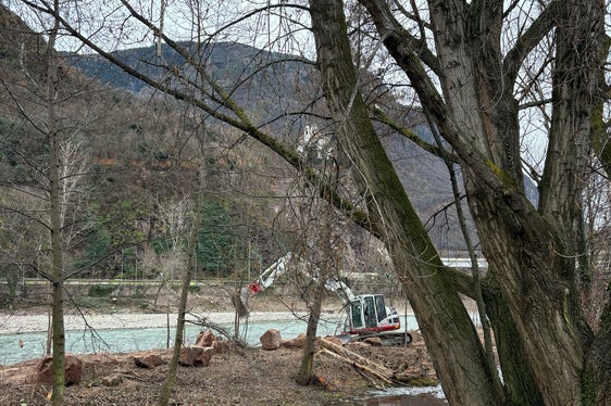 Das Landesamt für Wildbach- und Lawinenverbauung Süd führt Uferpflegearbeiten am Eisack unterhalb der gelben Brücke beim Zusammenfluss mit der Talfer aus. (Foto: LPA/Maja Clara)