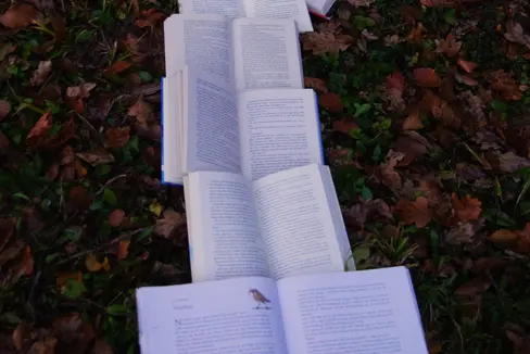 Das Land fördert Südtirol-relevante Publikationen und Verlagsarbeit. Das entsprechende Verfahren wird nun vereinfacht. (Foto: Unsplash)