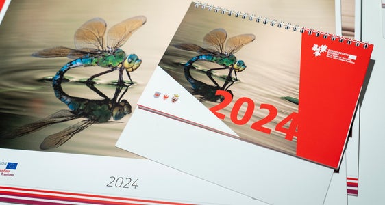 Le foto vincitrici saranno pubblicate sul calendario Euregio 2025. Come gli anni scorsi (foto del 2024) sarà disponibile nella versione da parete e da tavolo. (Foto: ASP/Fabio Brucculeri)