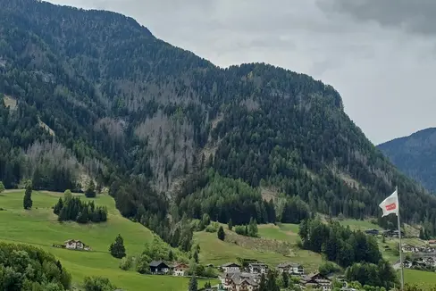 Arbeiten im Schutzwald Lausbühl zur Sicherheit der Bevölkerung: In der Bildmitte die borkenkäferbefallene Schutzwaldfläche, in der das Schutzwaldprojekt umgesetzt wird. (Foto: LPA/Forstinspektorat Brixen)