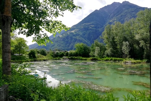 Nel laghetto di Rablà sono stati effettuati lavori per sradicare la pianta acquatica altamente invasiva denominata Elodea nuttallii (Foto: ASP/Agenzia per l'ambiente e la tutela del clima)