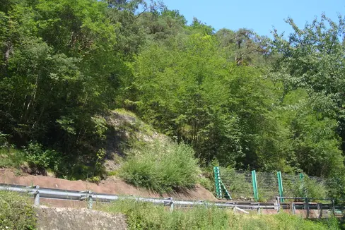 Der steinschlaggefährdete Abschnitt der Eggentaler Staatsstraße zwischen Karneid und Deutschnofen soll sicherer werden. Jetzt kann die Planung für eine Schutzgalerie und den Straßenausbau starten, denn die Landesregierung hat die technischen Eigenschaften für den Eingriff genehmigt. (Foto: LPA/Landesabteilung Tiefbau)