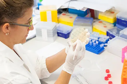 La Giunta provinciale ha approvato l'accordo di programma con l'Istituto di ricerca Eurac Research sino al 2024. Previsto uno stanziamento da 70 milioni di euro come finanziamento alla ricerca (Foto: ASP/Eurac)