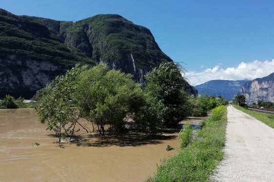 La piena ritratta oggi (5 agosto) lungo il fiume Adige a Salorno (Foto: ASP/Agenzia Protezione civile/Sistemazione bacini montani)