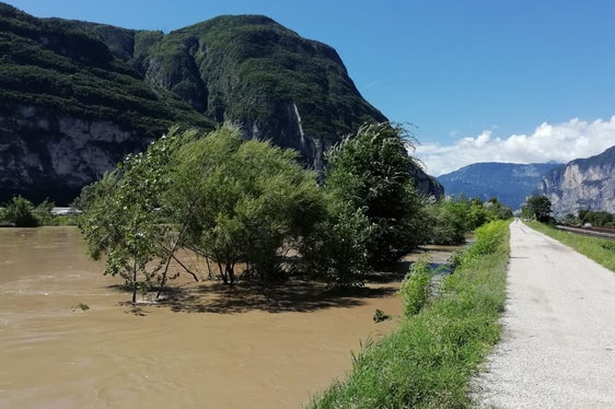 La piena ritratta oggi (5 agosto) lungo il fiume Adige a Salorno (Foto: ASP/Agenzia Protezione civile/Sistemazione bacini montani)