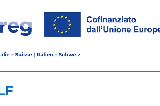 Il futuro digitale delle tre lingue minoritarie retoromanze, il ladino in Alto Adige, il romancio nei Grigioni e il friulano in Friuli, sarà promosso dal progetto di cooperazione transfrontaliera Interreg DIGI-RLF: il lancio ufficiale è avvenuto il 18 febbraio con i rappresentanti di tutte le organizzazioni coinvolte.