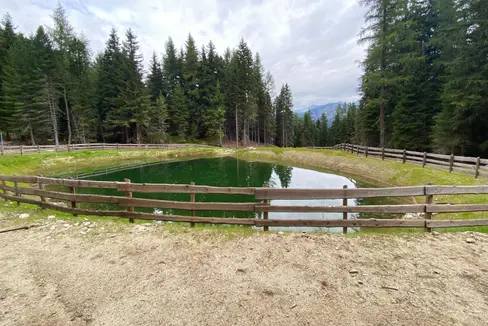 Il nuovo laghetto artificiale sulla malga Mezzaselva. (Foto: ASP/Noemi Prinoth)
