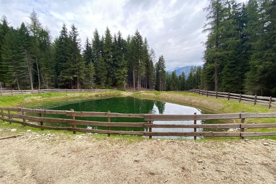 Der Löschwasserteich auf der Mittewalder Alm. (Foto: LPA/Noemi Prinoth)