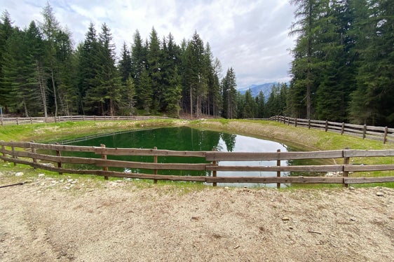 Der Löschwasserteich auf der Mittewalder Alm. (Foto: LPA/Noemi Prinoth)