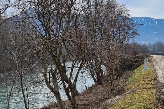Ufergehölze müssen regelmäßig zurückgeschnitten oder auch entfernt werden, damit sie nicht als Treibholz die Abflussmöglichkeit verhindern. (Foto: LPA/Landesamt für Wildbach- und Lawinenverbauung Süd in der Agentur für Bevölkerungsschutz)