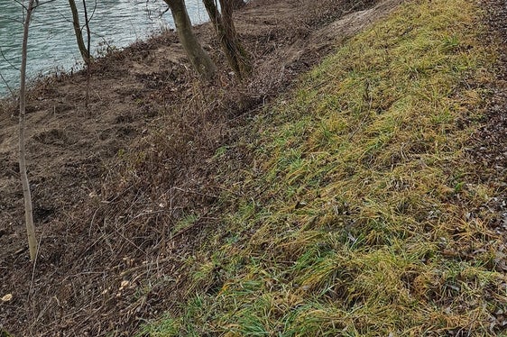 Ufergehölze müssen regelmäßig zurückgeschnitten oder auch entfernt werden, damit sie nicht als Treibholz die Abflussmöglichkeit verhindern. (Foto: LPA/Landesamt für Wildbach- und Lawinenverbauung Süd in der Agentur für Bevölkerungsschutz)