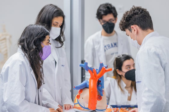 Studierende am UMCH während des Anatomie-Unterrichts: Interessierte können einen der zwei Infotage im Juni nutzen, um sich über das Studium und die Studienbeihilfe des Landes zu informieren. (Foto: UMFST/UMCH)